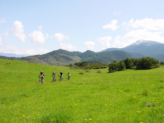 Coll de Jovell